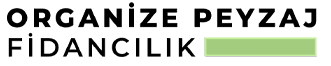 Organize Peyzaj, Kayseri Peyzaj, Peyzaj Firmaları